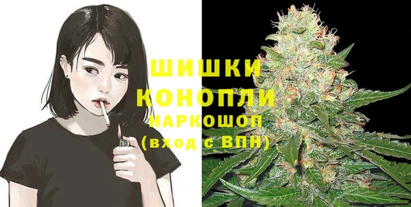 гидропоника Богородицк