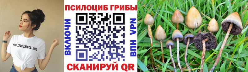 Псилоцибиновые грибы мухоморы  Свободный 