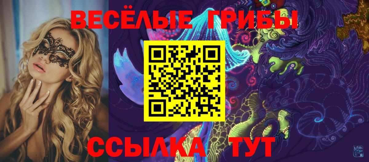 Псилоцибиновые грибы GOLDEN TEACHER Свободный