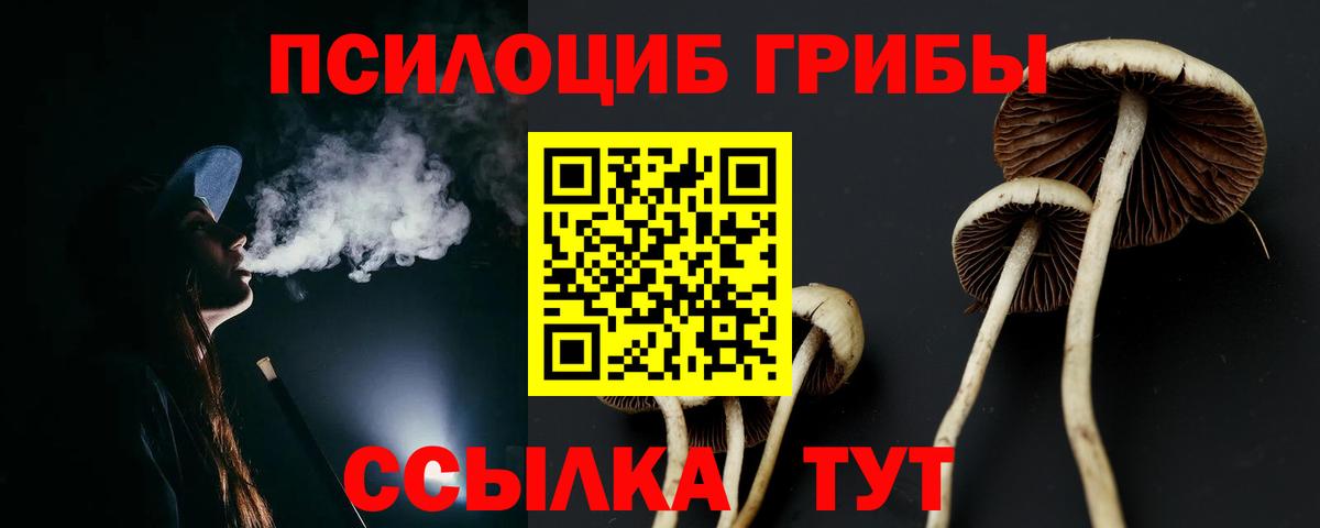 Свободный  где продают   Псилоцибиновые грибы GOLDEN TEACHER  Вход с VPN  Псилоцибиновые грибы Cubensis 