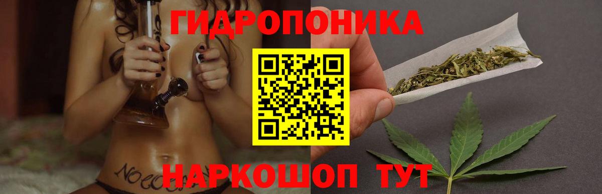 Бошки Шишки конопля  Вход с VPN  Конопля семена  Свободный  Марихуана AK-47 